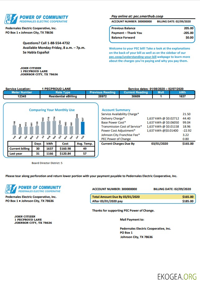 USA Texas Power of Community electricity utility bill in Word and PDF format, good for address prove
